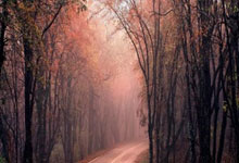 世体：拉菲尼亚右手手腕出现撞击后遗症，不过并无大碍.