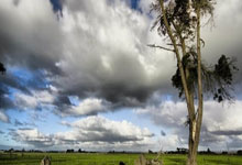 61胜创队史新纪录！亚历山大：我们的终极目标是举起总冠军奖杯.